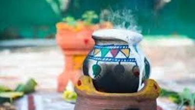 தமிழகம் முழுவதும் பொங்கல் கொண்டாட்டம்!