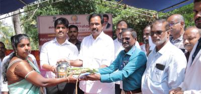 கண்ணன்விளையில் சிறப்பு கால்நடை சுகாதார முகாம்