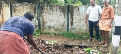 திருவிதாங்கோட்டில் இறந்து கிடந்த நாய் அகற்றம்