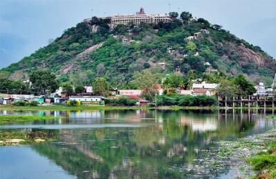 தைப்பூசத்தை முன்னிட்டு சிறப்பு பேருந்துகள் இயக்கம்