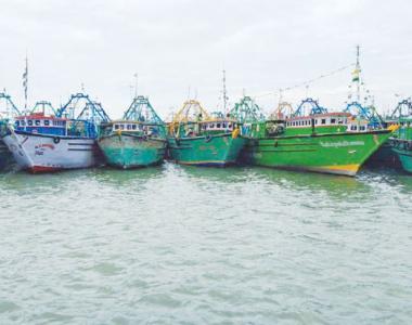 தூத்துக்குடி மீண்டும் கடலுக்கு சென்ற மீனவர்கள்